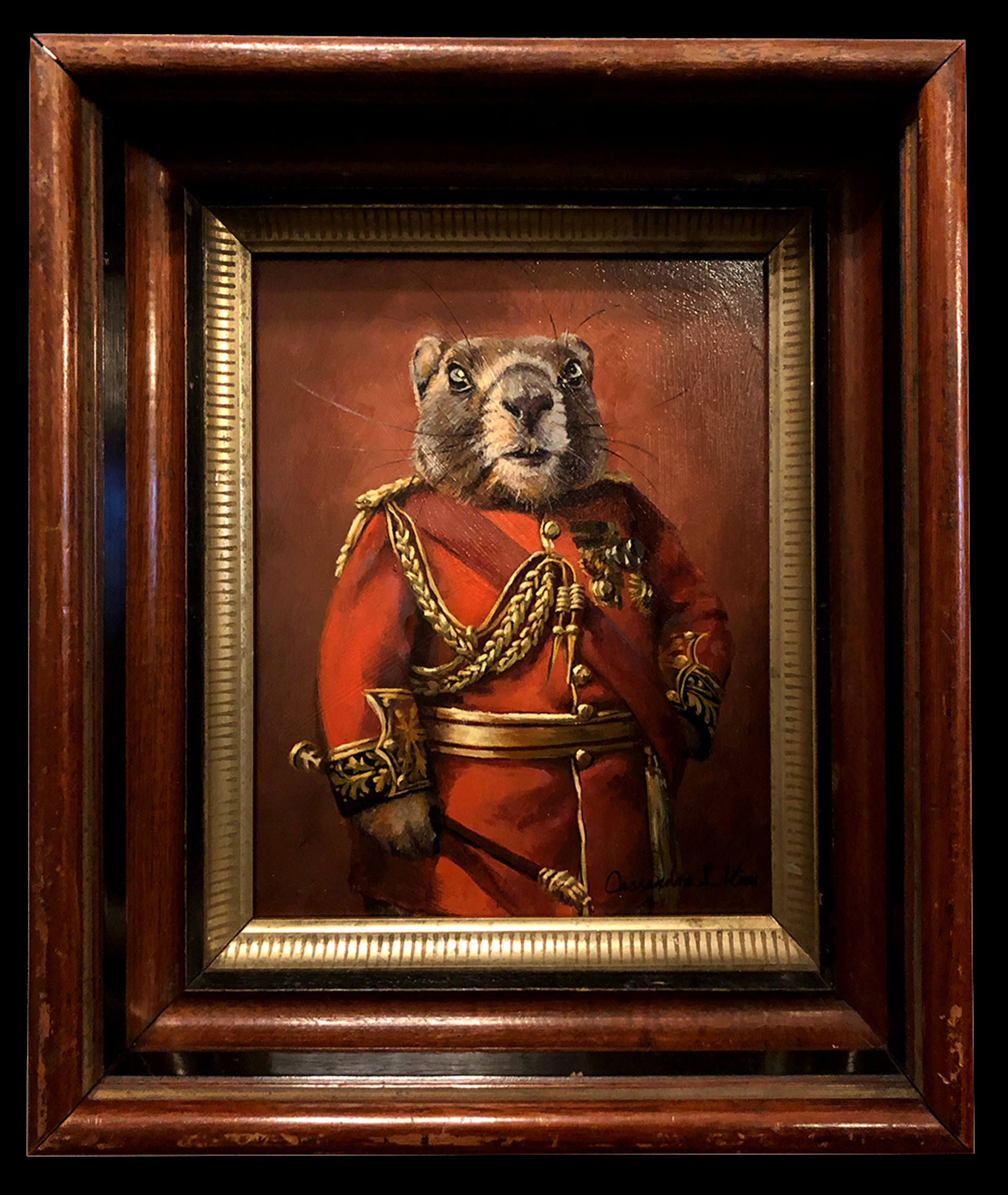Field Marshall Marmot